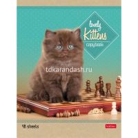 Тетрадь А5 48л линия "Котята" на скобе 5 дизайнов 48Т5В2/047012 от магазина "Карандаш"