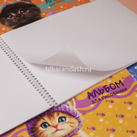 Альбом для рисования А4 40л "Мы-котики!" на спирали, перфорация на отрыв, 4 дизайна 091537 от магазина "Карандаш"