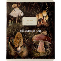 Тетрадь А5 48л клетка "Flora. Forest fairy tale" на скобе матовая ламинация Soft Touch, фольга 7-48- от магазина "Карандаш"