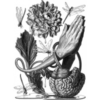 Ручка капиллярная "Pigma Micron" 0,35мм черная XSDK03#49 от магазина "Карандаш"