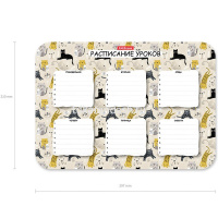 Расписание уроков А4 "Lying Cats" пластик, многоразовое 58306 от магазина "Карандаш"