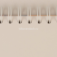 Скетчбук 15х15см 40л 200г/м2 "Исаакиевский собор" акварельная бумага, на спирали, картонная обложка от магазина "Карандаш"