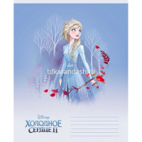 Тетрадь А5 12л клетка "Холодное сердце" на скобе 5 дизайнов 12Т5В1/061645 от магазина "Карандаш"