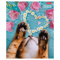 Тетрадь А5 48л линия "Мягкие лапки" на скобе 5 дизайнов 48Т5В2/068570 от магазина "Карандаш"