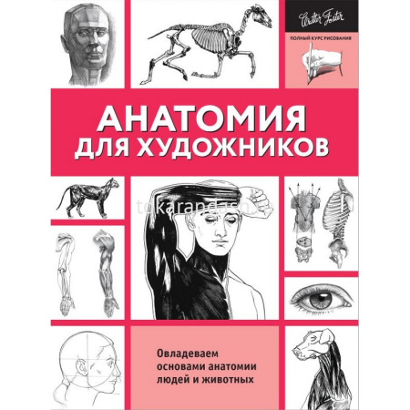 Книга "Полный курс рисования. Анатомия для художников" 128стр. 978-5-17-104735-1