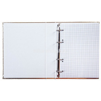 Тетрадь на кольцах А5 120л клетка золото бумвинил металлик 120ТК5В1_03424/070803 от магазина "Карандаш"