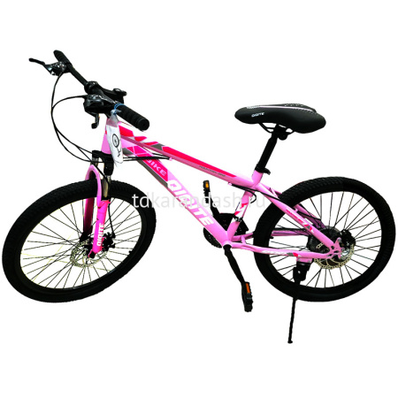Велосипед 24" 21 скорость, розовый, подножка XC2615