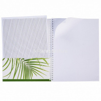 Тетрадь А4 96л без линовки "Nature" на спирали, обложка с карманом, перфорация на отрыв 073917 от магазина "Карандаш"