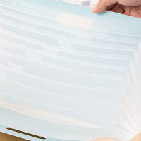 Папка-картотека 13 отделений А4 "Linfini" полипропилен, белая EF604 от магазина "Карандаш"