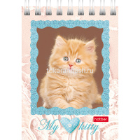 Блокнот А7 40л "Котята" клетка, на спирали 5 дизайнов 40Б7В1гр/051116 от магазина "Карандаш"