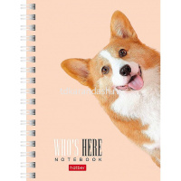 Записная книжка А6 80л "Кто здесь?" клетка, на спирали, двойная твердая обложка, 3 дизайна 80ЗК6В1гр от магазина "Карандаш"