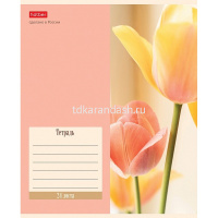 Тетрадь А5 24л линия  "Flowers" на скобе 5 дизайнов 24Т5В2/074946 от магазина "Карандаш"