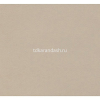 Бумага для пастели 70х100см 160г/м2 жемчужная 15011593 от магазина "Карандаш"