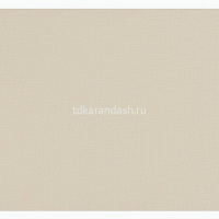 Бумага для пастели 50х65см 160г/м2 слоновая кость (хлопок 45%) 1л. 15011482 от магазина "Карандаш"