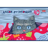 Альбом для рисования А4 40л "Котофей" на скобе 5 дизайнов 091512 от магазина "Карандаш"