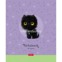 Тетрадь А5 48л клетка "Кошарики" на скобе 5 дизайнов 48Т5В1/075302 от магазина "Карандаш"