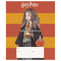 Тетрадь А5 12л линия "Гарри Поттер" на скобе 5 дизайнов 12Т5В2/082309 от магазина "Карандаш"