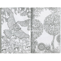 Арт-раскраска "Таинственный лес" А5 (148x210мм) 112стр. склейка, лак Р-9733 от магазина "Карандаш"