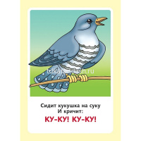 Карточки-шпаргалки "Запуск речи" 32 карточки 12х17см Ио5_31311/090912 от магазина "Карандаш"