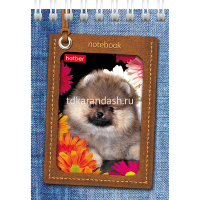 Блокнот А7 40л "Щенки" клетка, на спирали 5 дизайнов 40Б7В1гр от магазина "Карандаш"