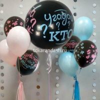 Шар воздушный 30см(12") Гендер Пати ассорти 5ст. 6074784 от магазина "Карандаш"