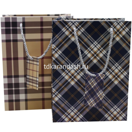 Пакет подарочный "Клетка" 14,5х18х8см 3 цвета 11454-24 от магазина "Карандаш"