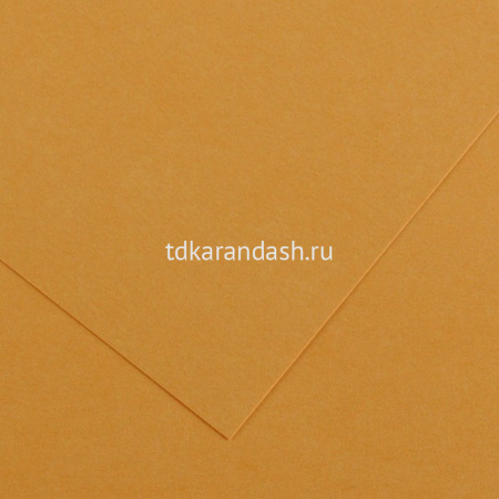 Бумага тонированная 50*65см 120г/м2 № 32 оранжевая кожа "Iris Vivaldi" 200040069
