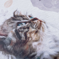 Альбом для рисования и худож.работ А4 10л "Любопытный носик" 220г/м2 склейка жесткая подложка от магазина "Карандаш"