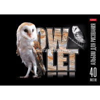 Альбом для рисования А4 40л "Птица Дивная" на скобе, матовая ламинация 3D лак 40А4лолВ/061423 от магазина "Карандаш"