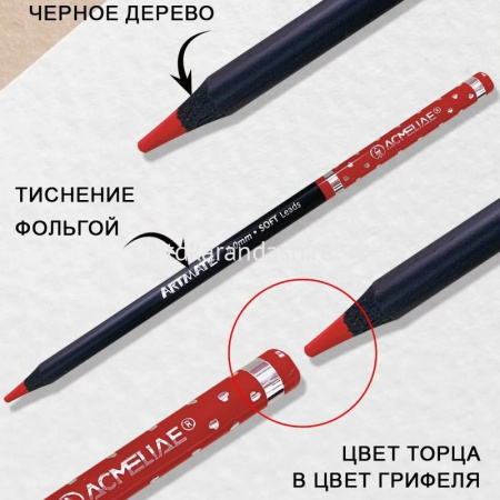 Карандаши 24 цвета "Blackwood Artmate" 12шт. двусторонние трехгранные дерево, картон 43186 от магазина "Карандаш"