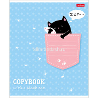 Тетрадь А5 12л клетка "Котик в кармашке" на скобе, 5 дизайнов 12Т5В1/062625 от магазина "Карандаш"