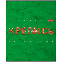 Тетрадь А5 48л клетка "Пластилин" на скобе тиснение 5 дизайнов 48Т5тВ1/075847 от магазина "Карандаш"