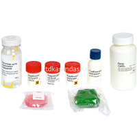 Набор опытов "Химия и другие науки. 150 экспериментов" 37х32х7см 8360 от магазина "Карандаш"