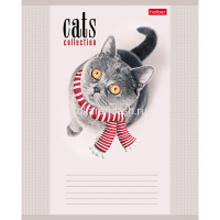 Тетрадь А5 12л клетка "Кототерапия" на скобе, 5 дизайнов 12Т5В1/058038 от магазина "Карандаш"