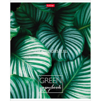 Тетрадь А5 96л клетка "MOREgreen" на скобе 5 дизайнов 96Т5В1/057316 от магазина "Карандаш"