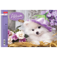 Альбом для рисования А4 40л "Любимцы" на спирали, перфорация на отрыв, 5 дизайнов 40А4Всп/004142 от магазина "Карандаш"