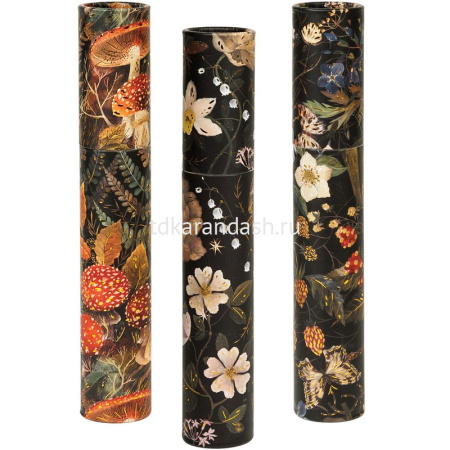 Ручка шариковая "DreamWrite. Flora. Black night forest" 0,7мм синяя, в футляре, 3 вида 20-0264/23 от магазина "Карандаш"