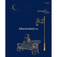 Тетрадь А5 48л клетка "Romantic cats" на скобе 3D фольга матовая ламинация 5 дизайнов 072933 от магазина "Карандаш"