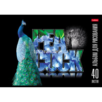 Альбом для рисования А4 40л "Птица Дивная" на скобе, матовая ламинация 3D лак 40А4лолВ/061423 от магазина "Карандаш"