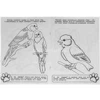 Первая раскраска "Забота о питомцах" 16стр. 9785506059011 от магазина "Карандаш"