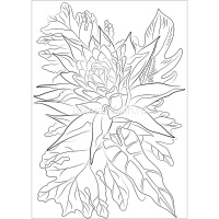 Папка д/акварельных набросков "Акварельные этюды. Цветы" А4 10л акварельная бумага 200г/м2 Р-2047 от магазина "Карандаш"