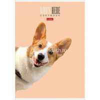 Тетрадь А4 96л клетка "Кто здесь?" на скобе матовая ламинация 3 дизайна 066192 от магазина "Карандаш"