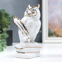 Сувенир "Сова на книгах" белый 13см керамика Y10417-24 от магазина "Карандаш"