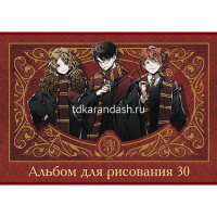 Альбом для рисования А4 30л "Гарри Поттер" на скобе 5 дизайнов 30А4В/074743 от магазина "Карандаш"