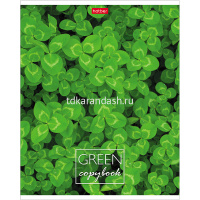 Тетрадь А5 96л клетка "MOREgreen" на скобе 5 дизайнов 96Т5В1/057316 от магазина "Карандаш"