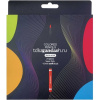 Карандаши 24 цвета "Blackwood Artmate" круглые дерево, картон 43587
