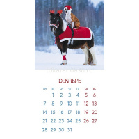 Календарь 2026 "Год Лошади" 30х30см настенный перекидной, на скобе 091912 от магазина "Карандаш"