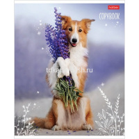 Тетрадь А5 48л линия "Мягкие лапки" на скобе 5 дизайнов 48Т5В2/068570 от магазина "Карандаш"