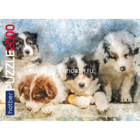 Пазлы 2000 эл. "Premium. Верные друзья" 98х68см 2000ПЗ1_26263/071679 от магазина "Карандаш"