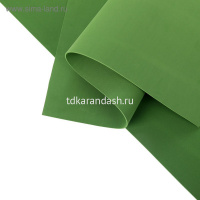 Фоамиран 2мм 50*70см травяной зеленый СН-10 от магазина "Карандаш"